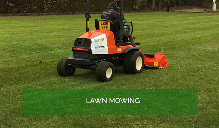 Garden Services and Maintenance