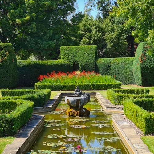Garden Services and Maintenance