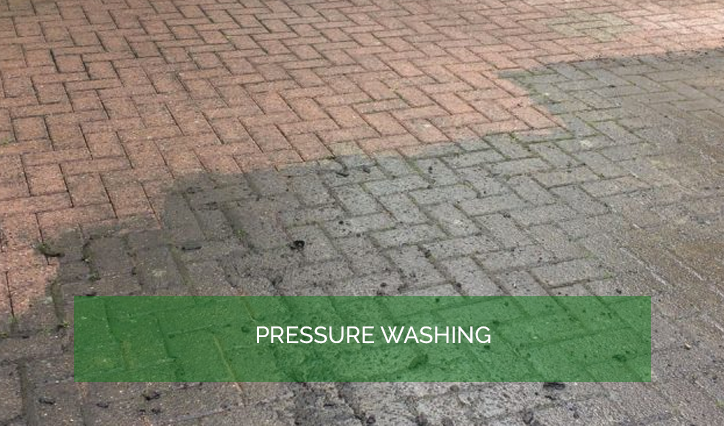 Garden Services and Maintenance