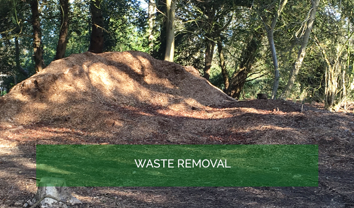 Garden Services and Maintenance