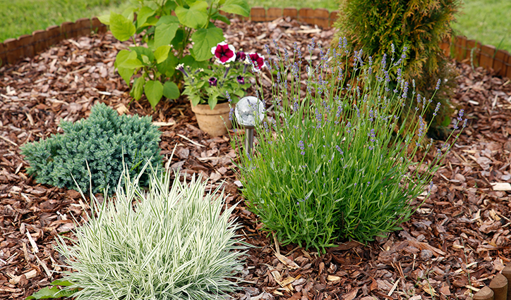 Flowerbed mulching