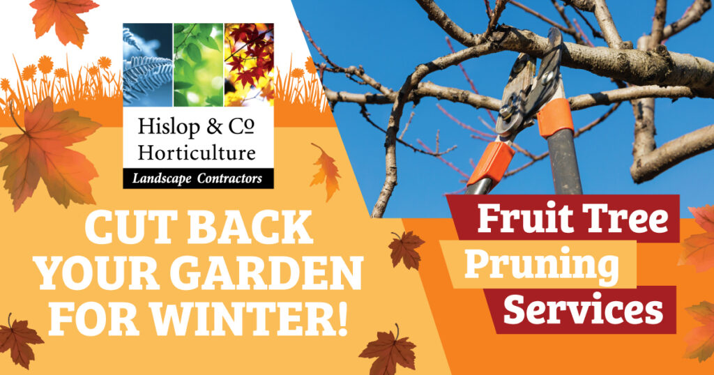 Winter services - Fruit tree pruning